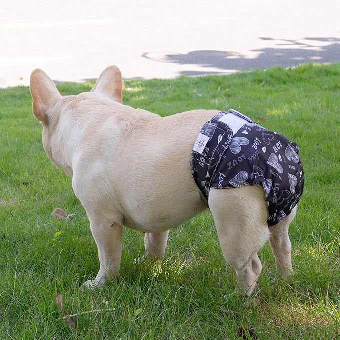 CuteBone Washable Dog Diapers Female No Tail Hole 3 Pack Reusable Doggie Period Training Pants for Docked-Tail Frenchie French Bulldog Boston Terrier Without Tail WWD03S