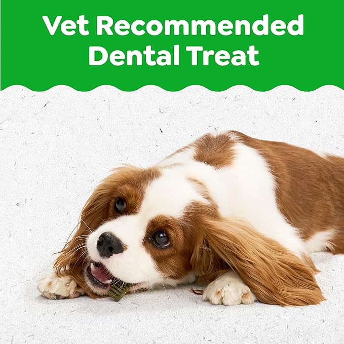 Greenies Dental Treats for Dogs, Veterinarian-Recommended Natural Puppy Treats Regular Size, 6 oz. Pack, 12 Count