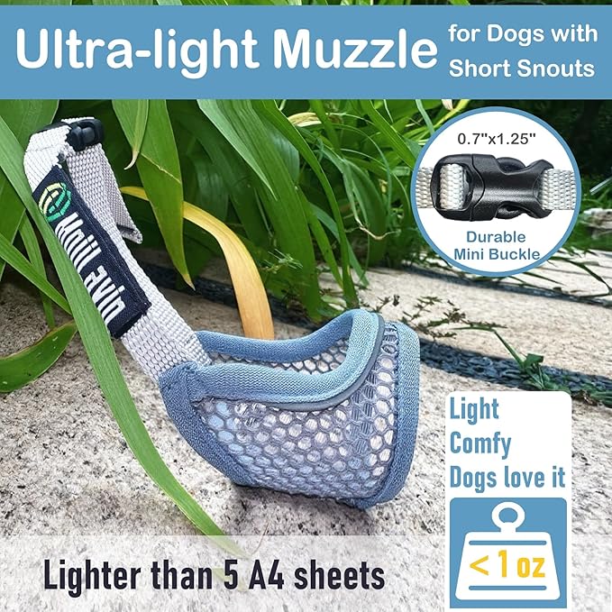 Dog Muzzle for Small Medium Dogs to Prevent Biting for Brachycephalic Dogs,Mini Poodle,Corgi,Short Snout Friendly,Soft Breathable Lightweight Mesh,Open Front,for Grooming Vet Visits(Summer Blue, M)
