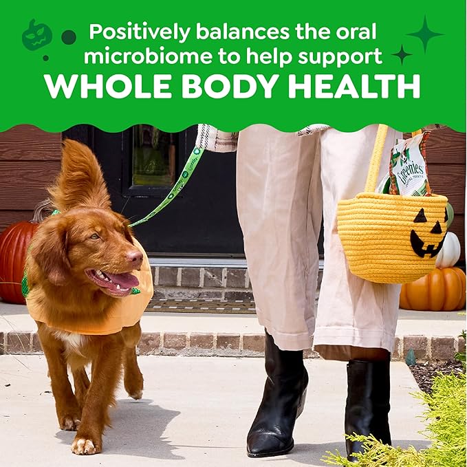 Greenies Veterinarian-Recommended, Limited-Edition Natural Dental Dog Treats Regular Size, Pumpkin Spice Flavor, 12 oz. Pack, 12 Count