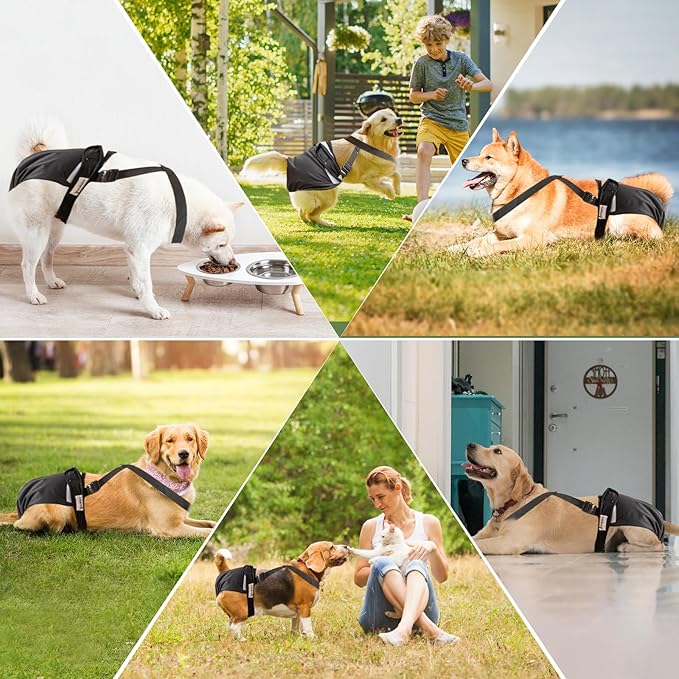 Washable Female Dog Diaper for Large Dogs, 3 PCS Adjustable Suspender Dog Sanitary Panties, Highly Absorbent Reusable Doggie Diapers for Small Medium Girl Dogs in Heat (L)