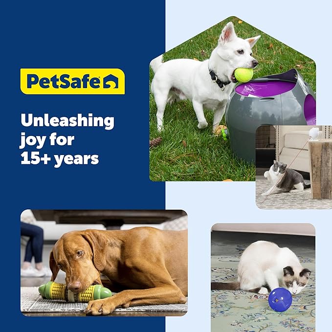 PetSafe Freezable Treat Holding Chilly Penguin - Durable,Vanilla-Scented,Rubber,Freezable Interactive Pet Puzzle for Boredom or Separation Anxiety - for Small Dogs,(Pack of 2)