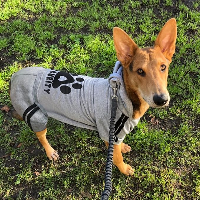 Dog Hoodie Security Clothes 4 Legs Jumpsuit Sweatshirt Hoodies Soft & Warm Dog Outfit Pullover Dog Winter Clothes Sweater for Small Medium Large Dogs Cats (Gray, X-Large)