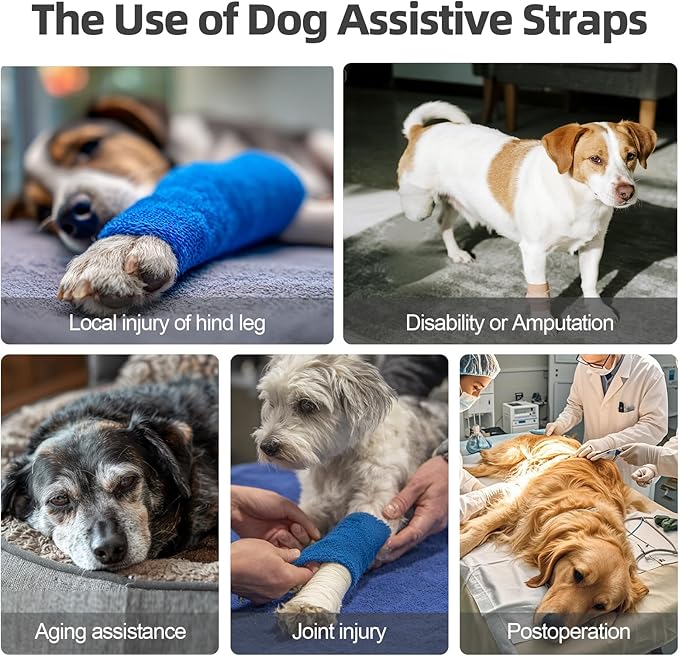 Dog Sling for Large Dogs Hind Leg Support, Adjustable Soft Padded Harness for Weak, Injured, or Disabled Back Legs, Helps Support Senior, Arthritic, and Mobility-Impaired Dogs (Medium)