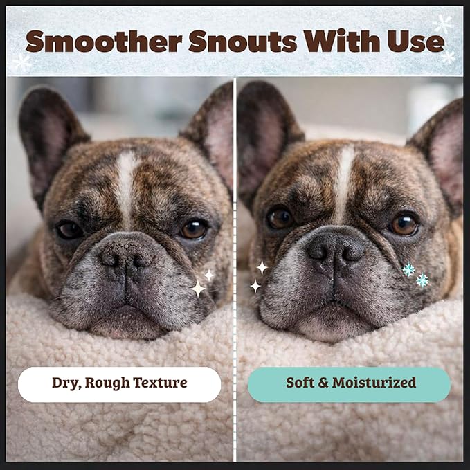 Natural Dog Company Snout Soother Balm – Dog Nose Balm for Dry Cracked Snouts, Moisturizing Winter Nose Care with Coconut Oil & Shea Butter, Lick Safe Dog Snout Balm for All Breeds, 2 oz Tin