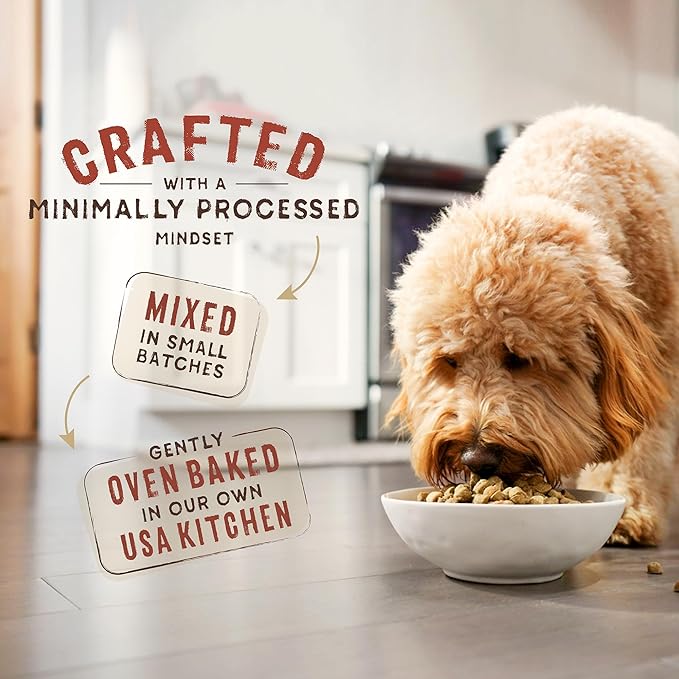 Stella & Chewy's SuperBlends Raw Blend Wholesome Grains Puppy Cage-Free Chicken & Wild Caught Salmon Recipe with Superfoods, 21 lb. Bag