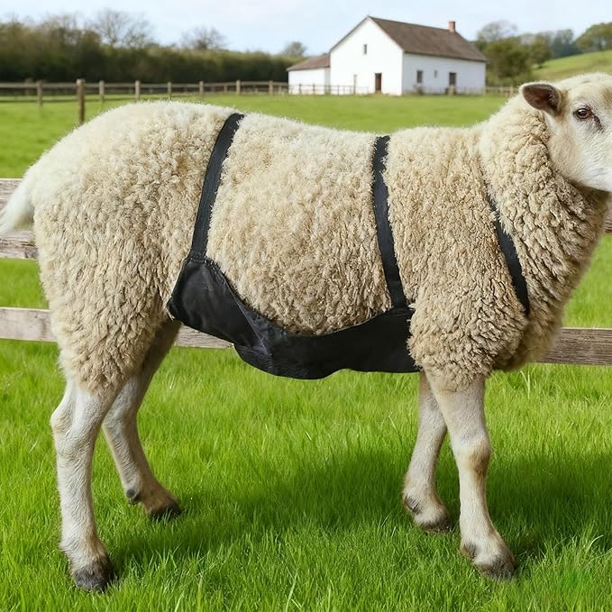 Goat Breeding Prevention, Adjustable Bellyband Harness, 25.3 X 14.1 in, Black