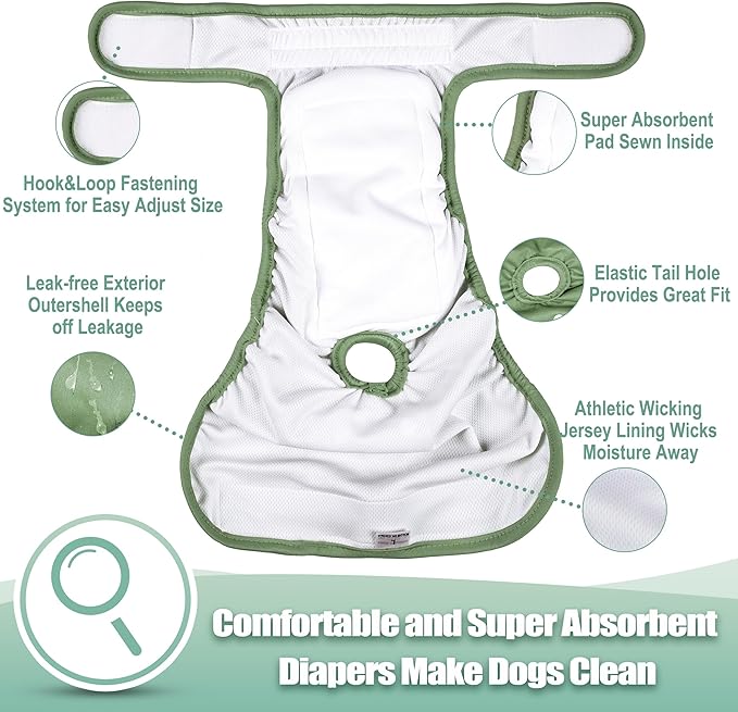 wegreeco Female Dog Diapers, Washable Reusable Pet Puppy Doggie Diapers for Small Medium Large Female Dogs in Heat Period, Doggy Period Panties Small, Blue Green