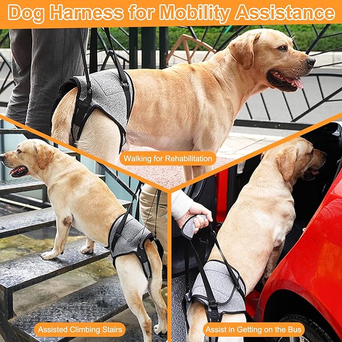 Dog Harness with Handle, Dog Sling for Large Dogs Hind Leg Support, Adjustable Dog Support Harness for Back Legs Elderly Injured Disabled Dogs with Reserved Urination Groove, Removable Sponge Handle