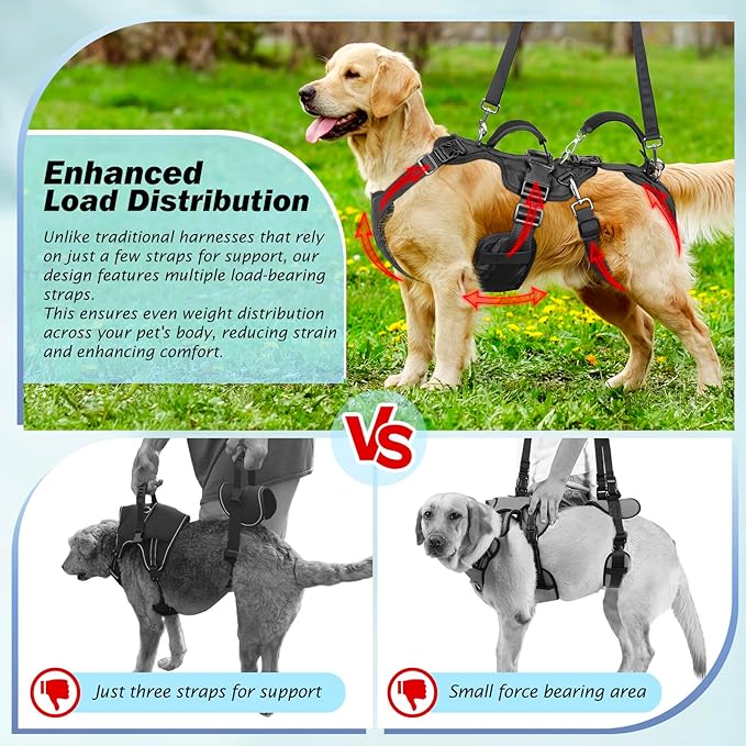 Dog Lift Harness for Large/Medium Dogs, Dog Support & Recovery Sling for Full-Body & Hind/Front Leg – Pee-Able Design – All-in-One Ideal Assistance for Senior, Disabled, Arthritic & ACL Canines (M)