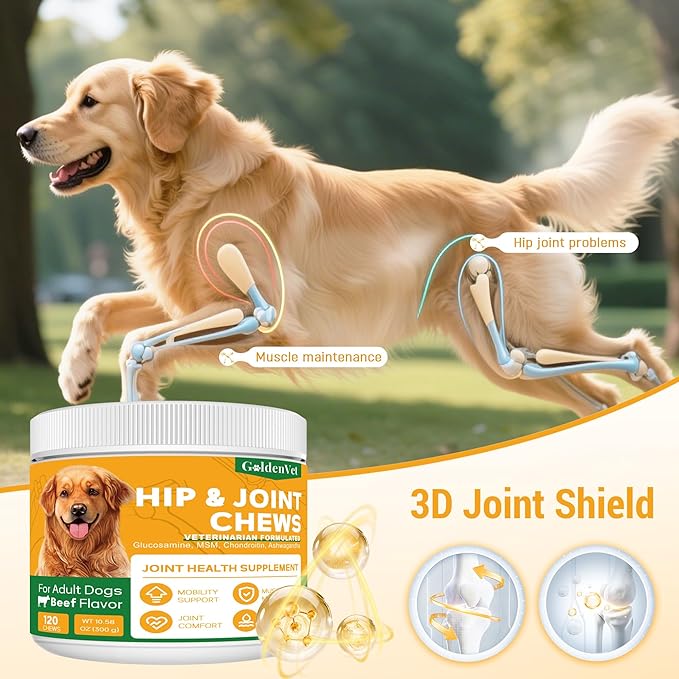 Hip and Joint Chews for Senior Dogs with Glucosamine HCL, Chondroitin, Green-lipped Mussel, Ashwagandha for Anti Inflammatory, Mobility Support, Muscle Maintenance, Joint Comfort (240 Ct)