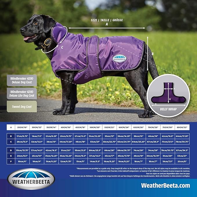 WeatherBeeta ComFiTec Windbreaker 420D Deluxe Dog Coat, Yellow/Black, 16"