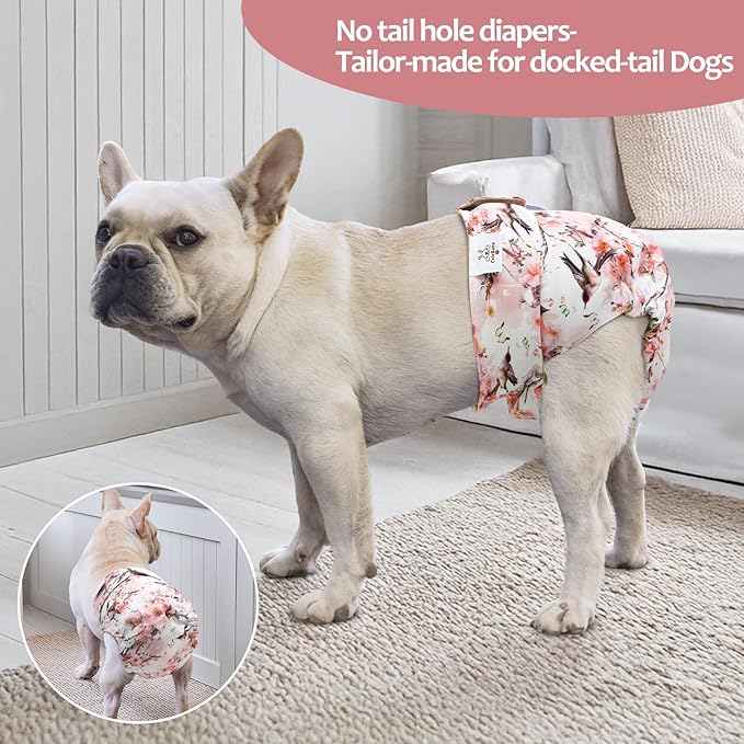 CuteBone Washable Dog Diapers Female No Tail Hole 3 Pack Reusable Doggie Period Training Pants for Docked-Tail Frenchie French Bulldog Boston Terrier Without Tail WWD30S