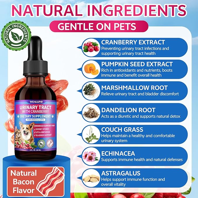 2 Pack – Cat & Dog Natural Urinary Tract Infection Treatment with Cranberry, Kidney, and Bladder Support Supplement, Support for Urinary Comfort & Bladder Flow – Pet Renal Care Support Drops