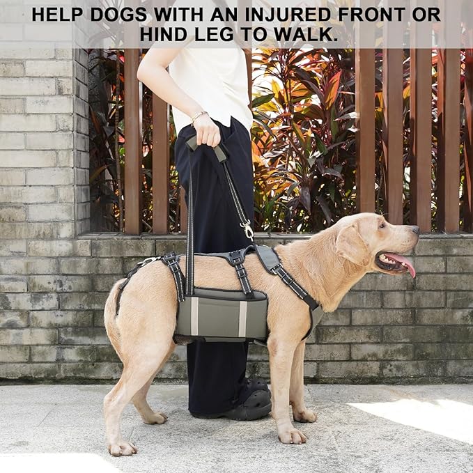 COODEO Mobility Dog Lift Harness, Emergency Carry Sling, Pet Rear Leg Support Rehabilitation Lifts Vest, Dog Carrier for Senior Dogs Joint Injuries, Arthritis (Military Green, M)