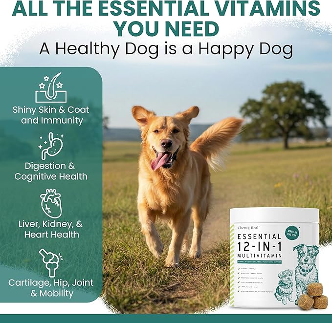 12-in-1 Dog Multivitamin Soft Chews, 120 Ct - Dog Vitamins & Supplements, Glucosamine Chondroitin, Probiotics, Omega 3 - Hip & Joint, Skin & Coat, Immune Support for Puppy & Senior Dogs - Chew + Heal