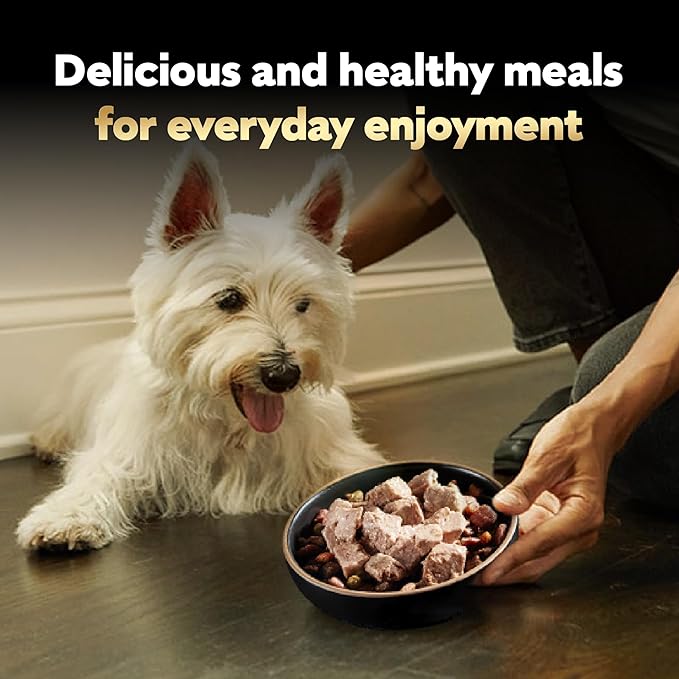 Cesar Wet Dog Food Classic Loaf in Sauce, Breakfast and Dinner with Grilled Steak & Eggs Flavor, and Chicken & Liver Flavor, 3.5 oz. Easy Peel Trays, Variety Pack, 24 Count