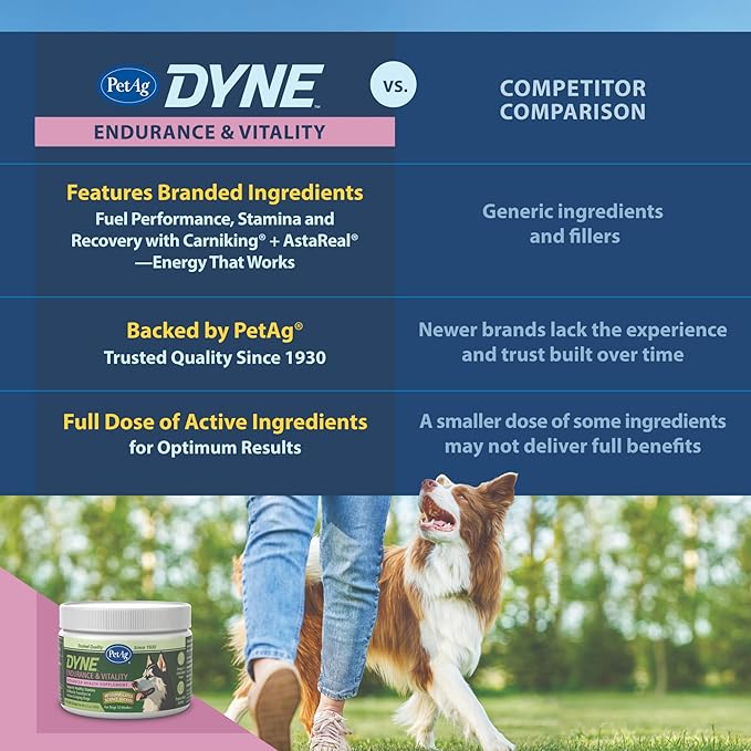 PetAg Dyne Soft Chews, Endurance & Vitality Supplement - Vet-Formulated for Aging & Active Dogs - Fuels Performance, Stamina & Recovery - 60 Chicken Liver Flavor Chews