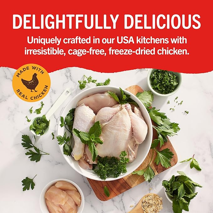 Stella & Chewy's Dental Delights with Freeze-Dried Chicken - Large Dental Treats for Dogs, Single Serve (Pack of 2)