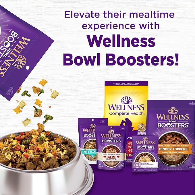 Wellness Complete Health Dry Dog Food, Wholesome Grains, Natural, Beef & Barley Recipe, (5-Pound Bag)