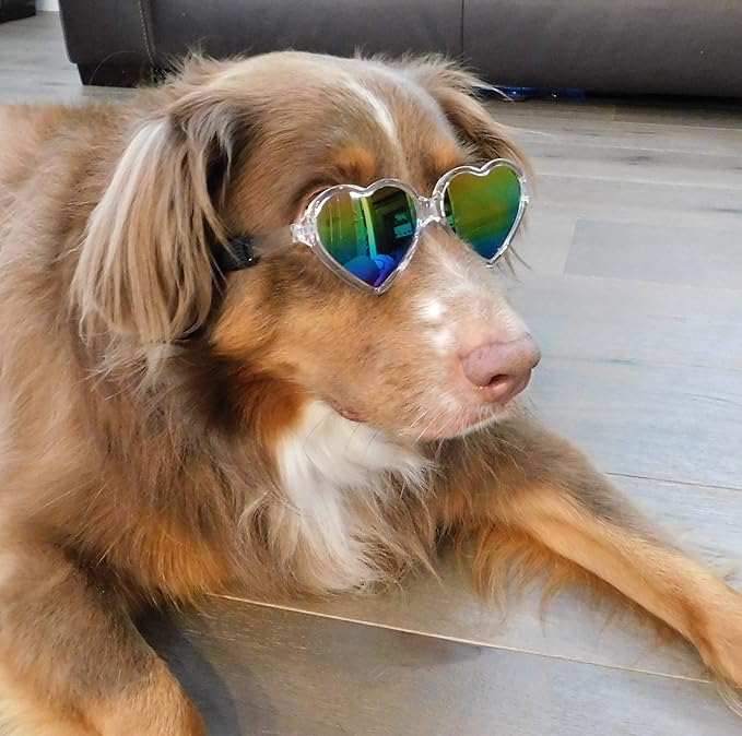 G012 Dog Pet Costume Prop Sunglasses Heart Shape Medium Breeds 20lb-40lbs (2-Pack Clear-Rainbow mr+Pink-Pink mr)