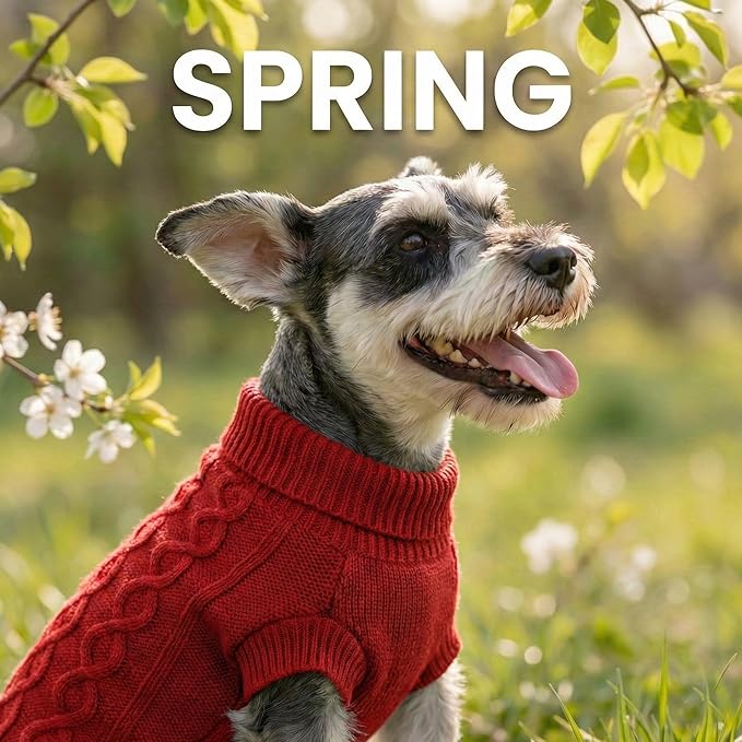 Small Dog Sweater, Soft Breathable Knit Pet Clothes for Spring Transition, Lightweight Puppy Outfit for Chihuahua, Yorkie, Pug; Stylish Red Doggy Apparel for Morning Walks (Red, M)