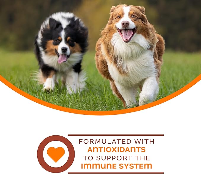 Fromm Family Nutritionals Immunity Functional Dog Treats - Premium Dog Treats for Immune Support - Contains Cranberry, Blueberry, Turmeric, Cinnamon, Vitamin C & Vitamin E - Pack of (3) 6 oz Bags