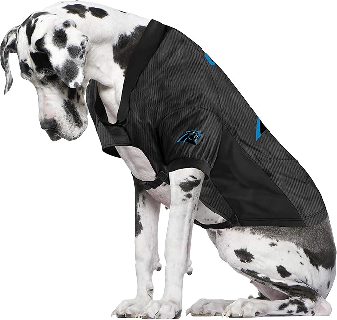 Littlearth NFL Carolina Panthers Stretch Pet Jersey, Team Color, Big Dog