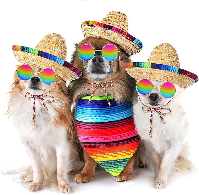 Ramede 3 Pcs Sombrero Hat Pet Mexican Serape Poncho Halloween Costume Include Cinco De Mayo Mexican Dog Bandana Fiesta Triangle Bib Round Sunglasses for Dog Birthday Gift Party Decor Small Puppy