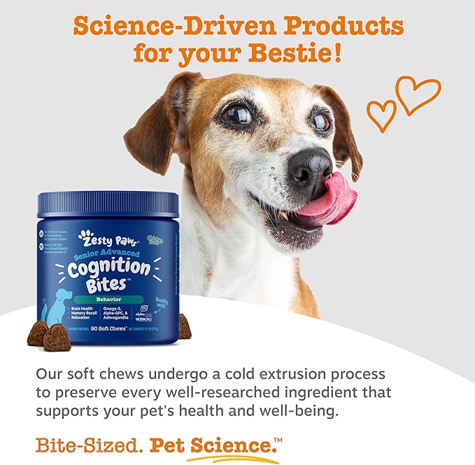 Zesty Paws Advanced Cognition Soft Chews for Dogs - with Omega 3 DHA, Ashwagandha & Alpha GPC - for Senior Dog Brain Health & Nervous System Support - Supplement for Calming & Relaxation - 90 Count