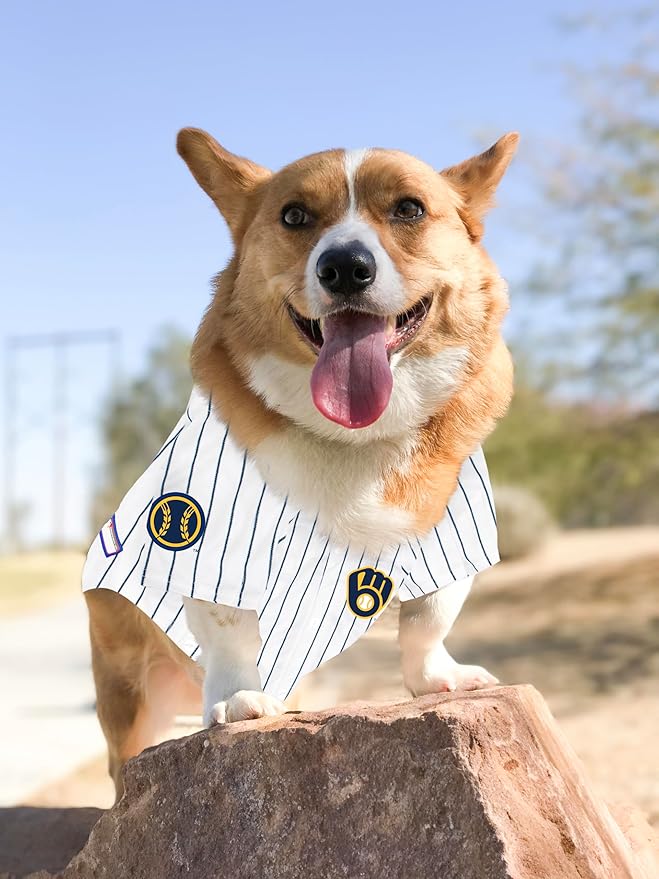 Official MLB Milwaukee Brewers Pet Jersey for Dogs & Cats, Size Medium - Stylish Baseball Jersey for Your Furry Fan- Show Off Team Spirit with The Perfect Fan Apparel Gear for Pet, Dog & Cat