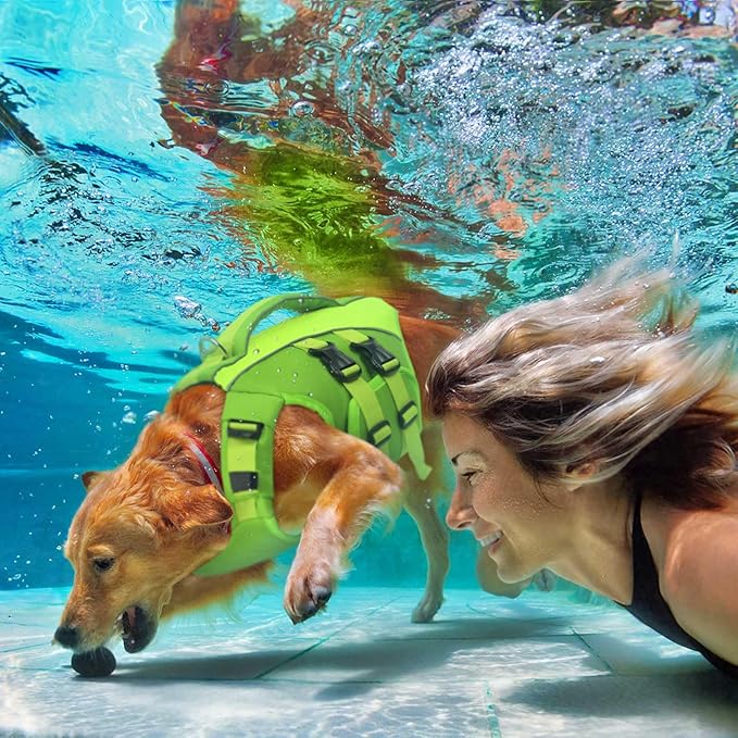 Queenmore Green X-Large Dog Life Jacket, Adjustable Reflective Dog Swimming Vest, Superior Buoyancy, High Floating Pet Life Vest for Swimming