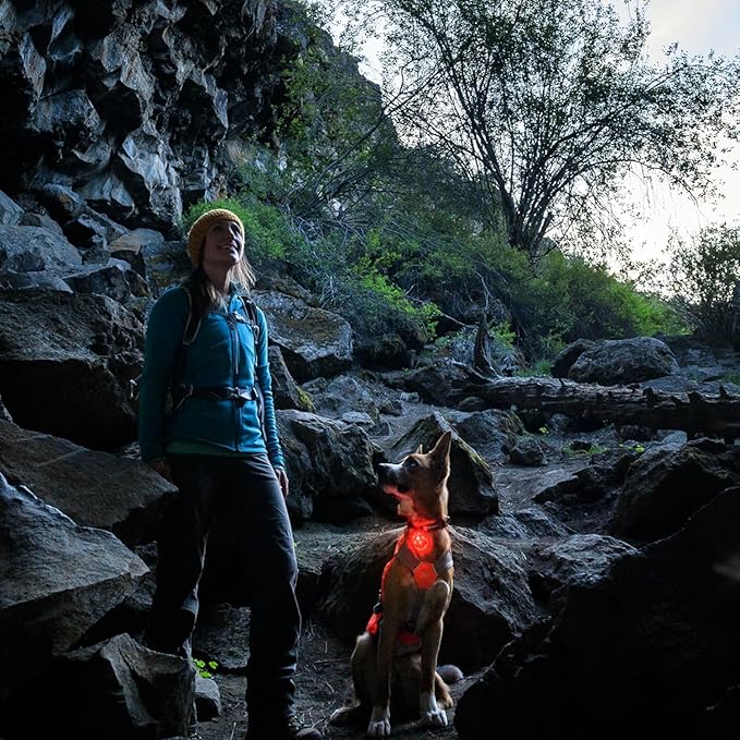Ruffwear, Beacon Safety Light for Dogs, Clear Lake
