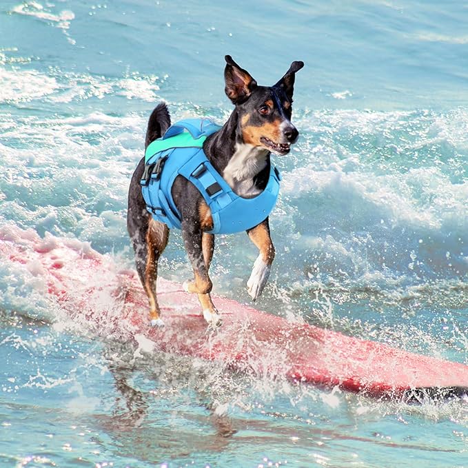 Queenmore Dog Life Jacket, Adjustable Ripstop Dog Life Vest for Swimming Boating, Pet Lifesaver with Superior Buoyancy and Rescue Handle, Pet Swimming Safety Vest(Blue,L)
