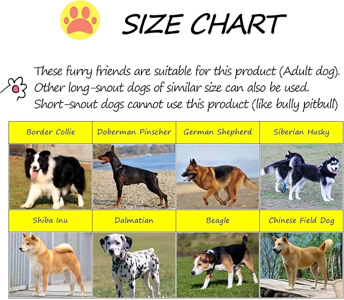 Multifunctional Figure 8 Padded Head Halter Walking Training Leather Stopper Slip Lead Dog Rope Leash Muzzle (Black M)
