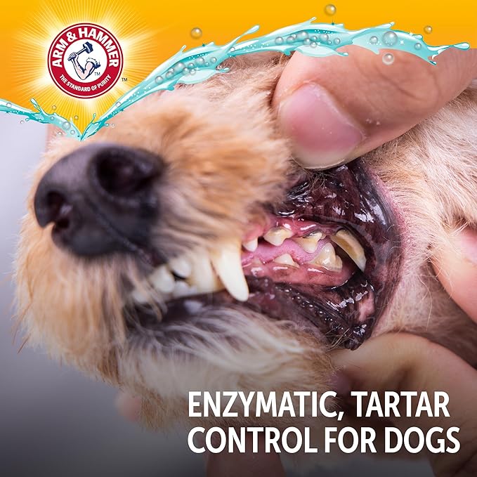 Arm & Hammer Complete Care Enzymatic Dog Toothpaste with Baking Soda and Calcium, Fluoride Free Formula for Plaque Tartar Control and Fresh Breath, Chicken Flavor, 6.2 Oz