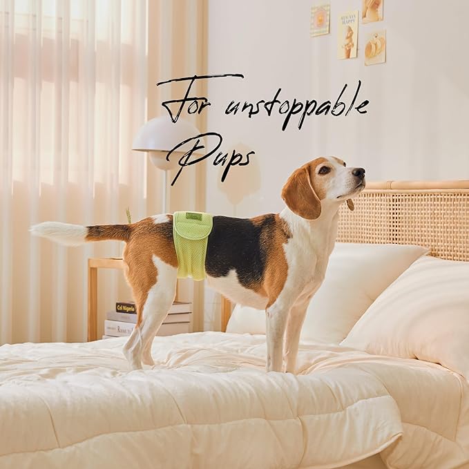 WICKEDPUP Male Dog Belly Band Kit, 50 Diaper Pads & 1 Reusable Male Wrap (Size 2 (17.5"-21.5" Waist))