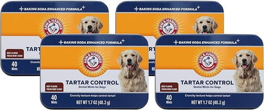 Arm & Hammer for Pets Tartar Control Dental Mints for Dogs | Dog Dental Mints Help Reduce Plaque & Tartar Buildup Without Brushing | Beef Flavor, 40 Count (Pack of 4)