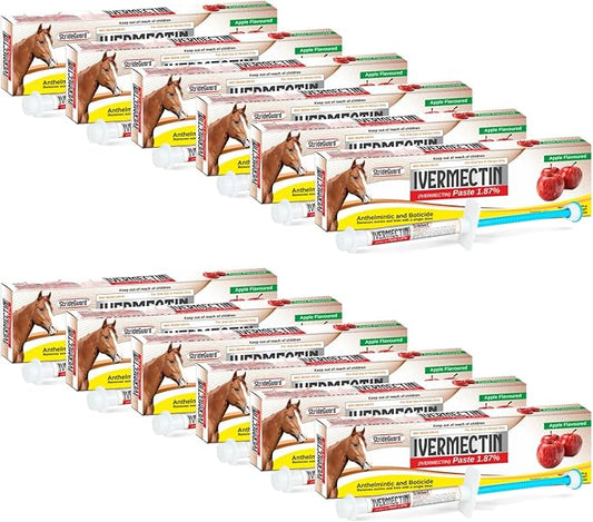 Horse Ivermectin Paste 1.87% – Apple Flavored Oral Horse Dewormer Syringe – 6.08g Tube Treats Horses Up to 1250 LB [Pack-12]