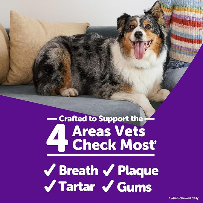 WHIMZEES Wellness Occupy Dog Dental Treats, Large Size, (6 Count)
