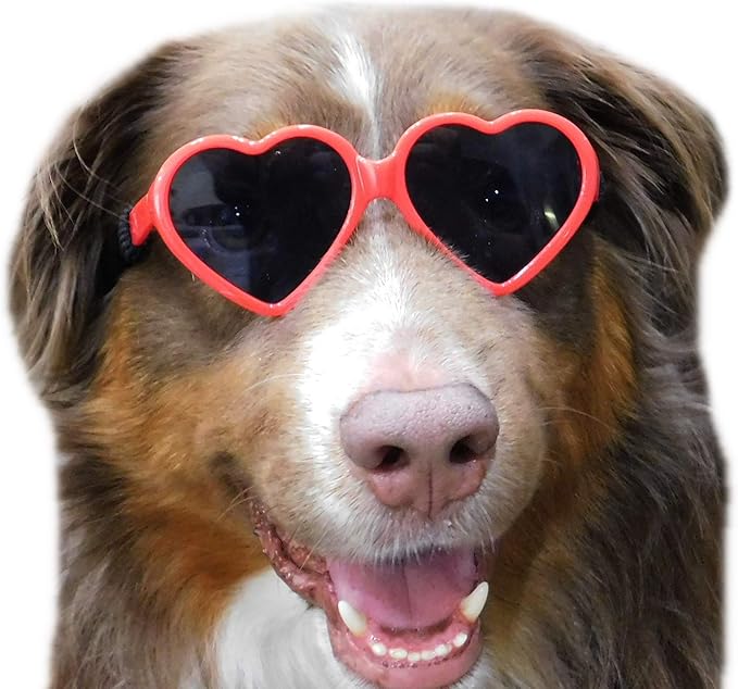G012 Dog Pet Costume Prop Sunglasses Heart Shape Medium Breeds 20lb-40lbs (2-Pack Red + Pink)