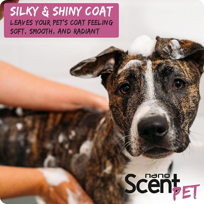 Pet Shampoo with Sea Salt for Dogs & Cats – Nano Tech Long-Lasting Fresh Clean Scent, Eliminates Odors All Day, Professional-Strength Formula, 13× Longer Lasting - Floral Daze (200mL)
