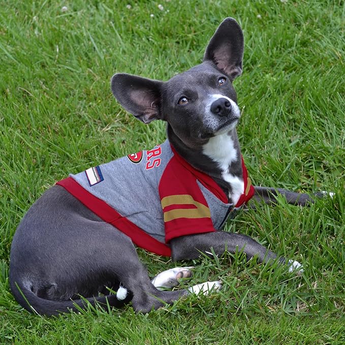 Pets First NFL SAN Francisco 49ERS Hoodie for Dogs & Cats. | NFL Football Licensed Dog Hoody Tee Shirt, X-Small| Sports Hoody T-Shirt for Pets | Licensed Sporty Dog Shirt. (SAN-4044-XS)