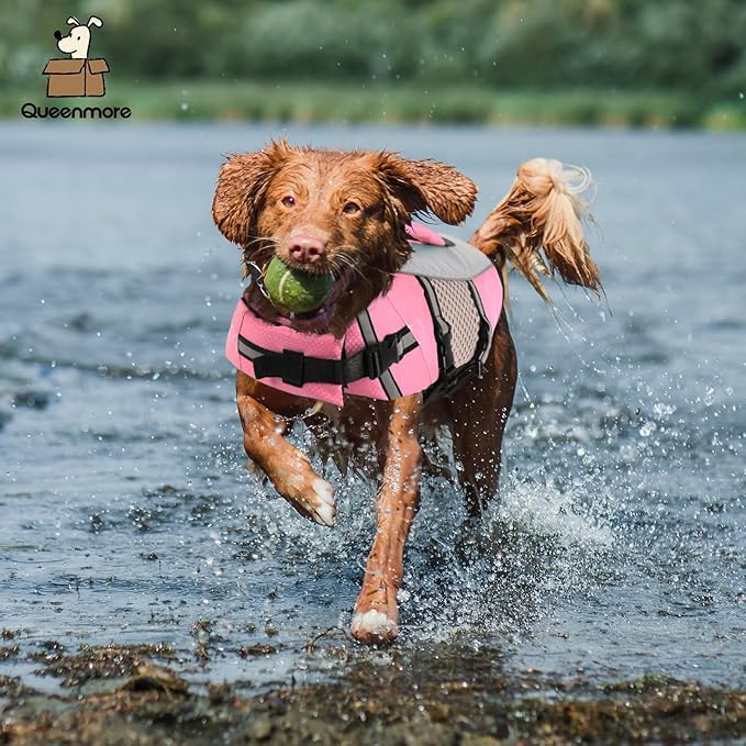 Queenmore Small Dog Life Jacket Swimming Vest Medium Dogs Boating Life Preserver Neoprene Lightweight Reflective Cat Puppy Kayaking Lifesaver for French Bulldog,Dachshund,Shih Tzu,Pug(Pink,M)