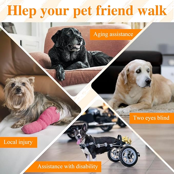 Dog Lift Harness, Dog Support & Recovery Sling for Full-Body & Hind/Front Leg – Pee-Able Design for Large/Medium Dogs – All-in-One Ideal Assistance for Senior, Disabled, Arthritic & ACL Canines (XXL)