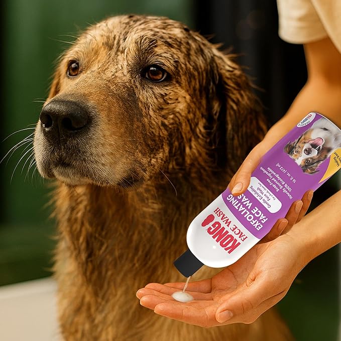 Kong Exfoliating Face Wash for Dogs – Gentle Cleanser, Removes Tear Stains & Odors, Blueberry Scent, 16 fl oz – Biodegradable, Hypoallergenic, Soap-Free, Cruelty-Free, for Sensitive Skin, Made in USA