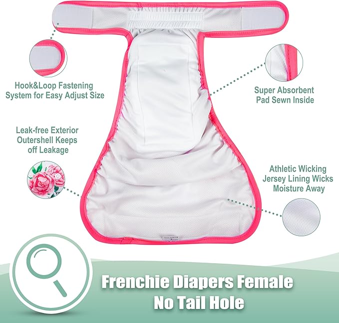 wegreeco Frenchie Dog Diapers Female No Tail Hole,Washable Pet French Puppy Bulldog Diapers Female for Period Heat,Reusable Doggy Doggie Dog Diapers （Ocean of Flowers Large）
