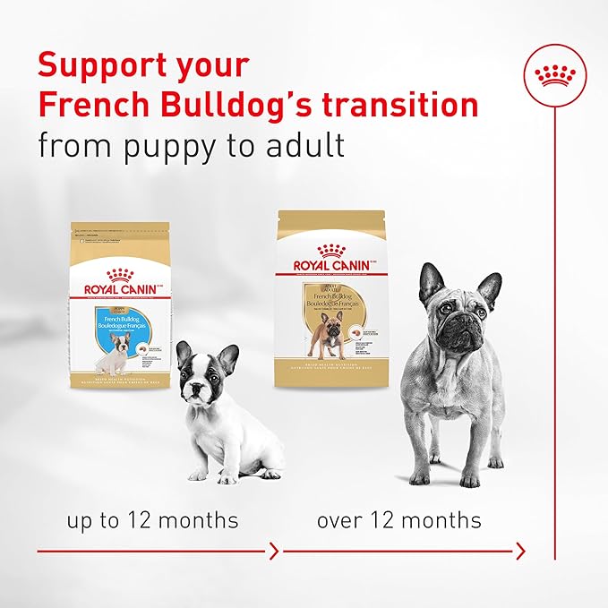 Royal Canin Breed Health Nutrition French Bulldog Wet Dog Food for Adult Dogs, Loaf Wet Food for French Bulldogs 12 Months+, Supports Digestive Health and Bone & Joint Health, 3 oz can