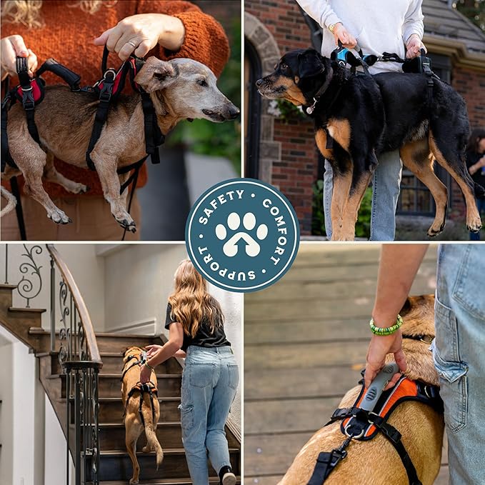 Help 'Em Up® - Dog Lift Harness│ Adjustable Lifting Harness for Dogs │ Full Body Support, Rear Leg Support (Conventional, XS)
