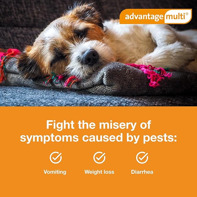 Advantage Multi Topical Solution for Dogs 6 Doses, 3-9 lbs (Green)